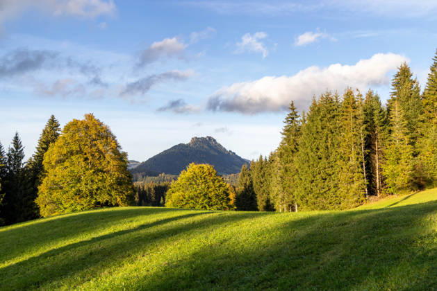 Autumn Evening in the Allgäu: Evening Scenery at Oberjoch in the Allgäu, Bad Hindelang, Bavaria, Germany