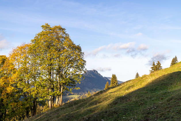 Autumn Evening in the Allgäu: Evening Scenery at Oberjoch in the Allgäu, Bad Hindelang, Bavaria, Germany