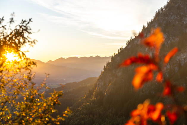 Autumn Evening in the Allgäu: Evening Scenery at Oberjoch in the Allgäu, Bad Hindelang, Bavaria, Germany