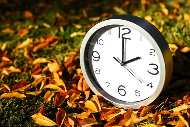 Clock among autumn leaves, symbolic photo of the time change and winter time, digitally edited in Hamburg, Germany ** FOR EDITORIAL PURPOSES ONLY ** EDITORIAL USE ONLY **