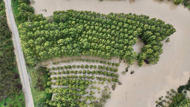 Heavy rains hit Duzce, Turkiye DUZCE, TURKIYE - OCTOBER 16: An aerial view shows floodwaters from the overflowing Melen River covering agricultural land near Demiracma village as heavy rain continues in the Akcakoca and Kocaali areas, on October 16, 2026 in Duzce, Turkiye. The river, which flows into the Black Sea, reached some residential areas after overflowing its banks. At Melenagzi Harbor, four small fishing boats reportedly capsized and drifted out to sea, while three others sank inside the harbor. Omer Urer Anadolu Duzce Turkey. Editorial use only. Please get in touch for any other usage.  Copyright: x2026xAnadoluxOmerxUrerx