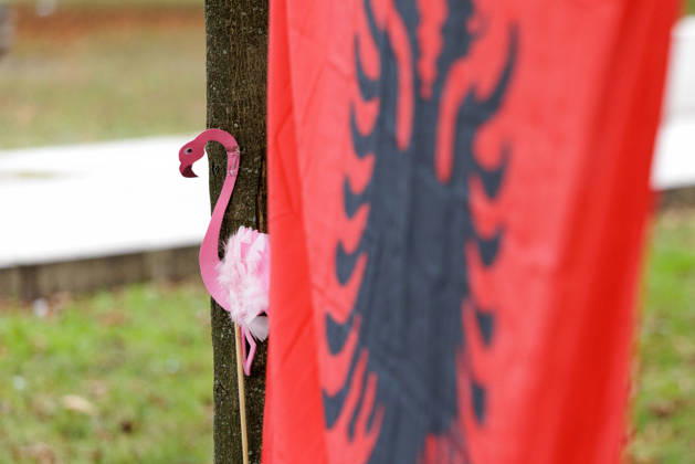 News Bilder des Tages Solidarity Protest for Albania held in Berlin. A paper flamingo and the Albanian flag as people gather opposite the Albanian embassy during a protest organized by ˜Flamingos von Berlin™ in Berlin, Germany, 16 October 2026. The organizers called for solidarity with students in Albania and denounced corruption, demanding the resignation of Edi Rama. Berlin