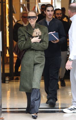 Céline Dion leaves the Royal Monceau hotel with her sons Nelson and Eddy and her dog the day after her final concert in Paris on October 19, 2026. Cyril Moreau, Bestimage. Céline Dion leaves the Royal Monceau hotel with her sons Nelson and Eddy and her dog, the day after her final concert in Paris on October 19, 2026, Paris, France  Copyright: xCYRILxMOREAUx xBESTIMAGExCYRILxMOREAUx xBESTIMAGEx
