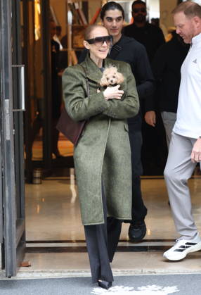 Céline Dion leaves the Royal Monceau hotel with her sons Nelson and Eddy and her dog the day after her final concert in Paris on October 19, 2026. Cyril Moreau, Bestimage. Céline Dion leaves the Royal Monceau hotel with her sons Nelson and Eddy and her dog, the day after her final concert in Paris on October 19, 2026, Paris, France Copyright: xCYRILxMOREAUx xBESTIMAGExCYRILxMOREAUx xBESTIMAGEx