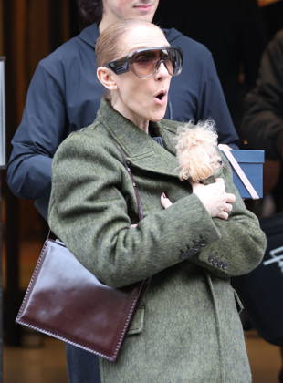 Céline Dion leaves the Royal Monceau hotel with her sons Nelson and Eddy and her dog the day after her final concert in Paris on October 19, 2026. Cyril Moreau, Bestimage. Céline Dion leaves the Royal Monceau hotel with her sons Nelson and Eddy and her dog, the day after her final concert in Paris on October 19, 2026, Paris, France Copyright: xCYRILxMOREAUx xBESTIMAGExCYRILxMOREAUx xBESTIMAGEx