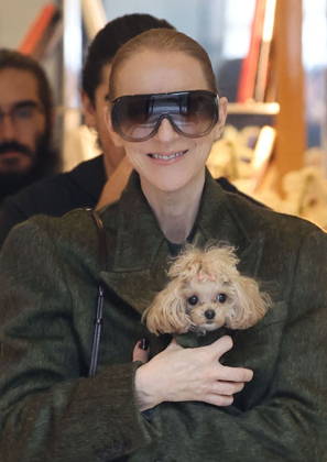 Céline Dion leaves the Royal Monceau hotel with her sons Nelson and Eddy and her dog the day after her final concert in Paris on October 19, 2026. Cyril Moreau, Bestimage. Céline Dion leaves the Royal Monceau hotel with her sons Nelson and Eddy and her dog, the day after her final concert in Paris on October 19, 2026, Paris, France  Copyright: xCYRILxMOREAUx xBESTIMAGExCYRILxMOREAUx xBESTIMAGEx