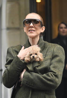 Céline Dion leaves the Royal Monceau hotel with her sons Nelson and Eddy and her dog after her concert series in Paris on October 19, 2026. Christian Liewig, Bestimage. Céline Dion leaves the Royal Monceau hotel with her sons Nelson and Eddy and her dog after her concert series in Paris on October 19, 2026 Paris, France Copyright: xChristianxLiewigx xBestimagexChristianxLiewigx xBestimagex