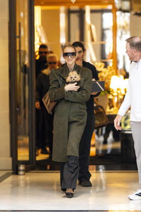 Céline Dion, accompanied by her sons Eddy and Nelson Angelil, leaves the Royal Monceau hotel for La Plenitude Arena in Paris after 16 concerts over five weeks in front of nearly 500,000 people, on October 19, 2026. Holding her dog, Madison, in her arms, the Canadian singer waved one last time to her fans gathered in front of the hotel. She will return to the Paris La Défense Arena for 10 special concerts from May 8 to 29, 2027. Pierre Perusseau Bestimage Céline Dion, accompanied by her sons Eddy and Nelson Angelil, leaves the Royal Monceau luxury hotel in Paris on October 19, 2026, following 16 concerts over five weeks performed before nearly 500,000 people. Holding her dog, Madison, in her arms, the Canadian singer waved one last time to Copyright: xPierrexPerusseaux xBestimagexPierrexPerusseaux xBestimagex