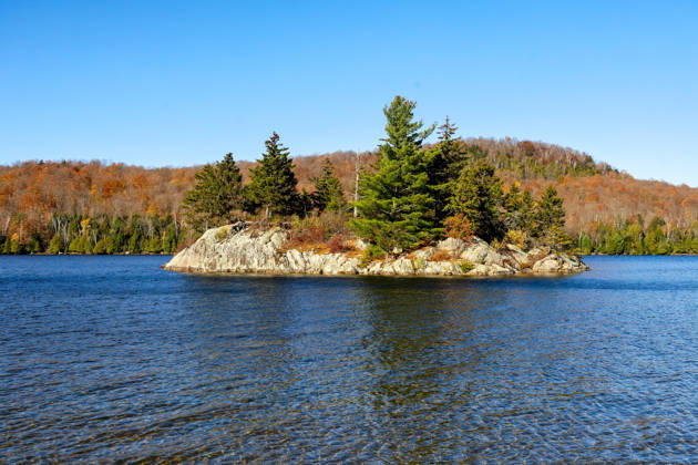 Autumnal landscape at Stukely Lake (Lac Stukely) in Mont Orford National Park (Parc national du Mont Orford). On sunny days, some deciduous trees are still displaying vibrant fall colors, while many others have already lost their leaves following the first night frosts. Orford, Quebec, CAN, Canada, October 19, 2026