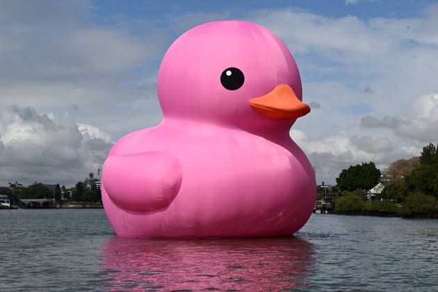 Entertainment Bilder des Tages MELT FESTIVAL 2026, A 15-metre, five-storey-high pink Rubber Duck by artist Florentijn Hofman is seen floating on the Brisbane River during the official opening day media call for Melt Festival 2026 at New Farm Park River Hub in Brisbane, Wednesday, October 21, 2026. Melt Festival 2026 returns to Brisbane from 21 October to 8 November 2026 to celebrate Queer arts and culture. ( NO ARCHIVING BRISBANE QUEENSLAND Australia  Copyright: xDARRENxENGLANDx 20261021178767311866