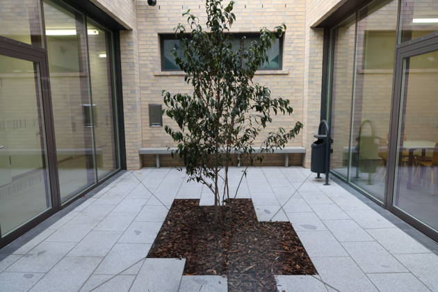 The Bautzen branch of the state-owned enterprise Sächsisches Immobilien und Baumanagement (SIB) today held a ceremony to mark the completion of the new prison kitchen at the Bautzen Correctional Facility. The previous prison kitc Copyright: xMatthiasxWehnertx
