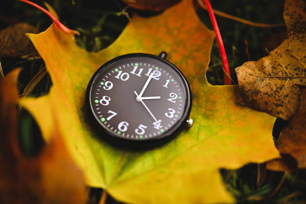 Black clock on an autumn leaf, symbolic photo of the time change, digitally edited in Hamburg, Hamburg, Germany ** FOR EDITORIAL PURPOSES ONLY ** EDITORIAL USE ONLY **