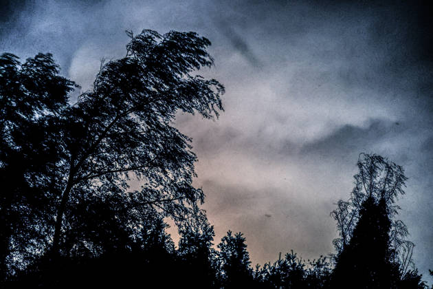 Storm Luise Over North Rhine-Westphalia: Storm Luise is sweeping across the state, snapping branches and trees against a menacing sky, and will be accompanied by heavy rainfall.