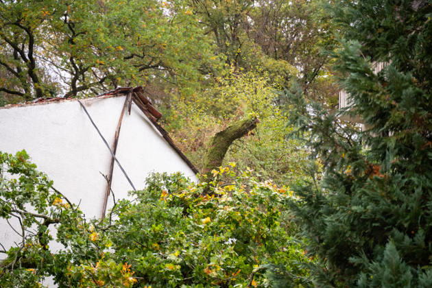 Severe Storms in Rhineland-Palatinate: Storm Uproots Trees and Damages Houses During the night of October 24, 2026, str