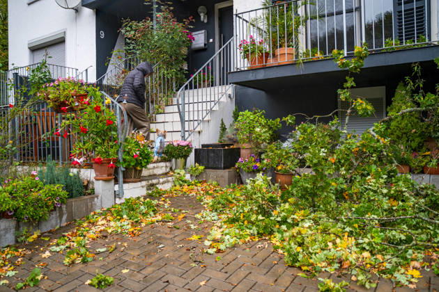Severe Storms in Rhineland-Palatinate: Storm Uproots Trees and Damages Houses During the night of October 24, 2026, str
