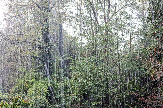 Heavy Rainfall in Rural Areas: Heavy rain is lashing the countryside during a sleet storm accompanied by gusts of wind in Essen, North Rhine-Westphalia, Germany