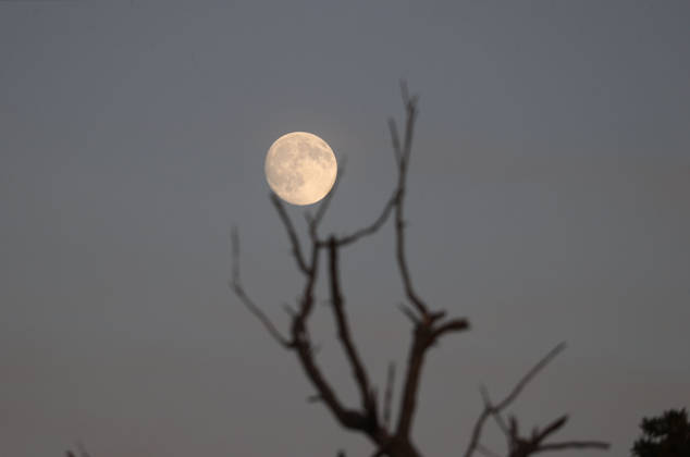 Full Moon in Kirklareli KIRKLARELI, TURKIYE - OCTOBER 25: The full moon rises over Kirklareli, Turkiye on October 25, 2026. Ozgun Tiran Anadolu Kirklareli Turkey. Editorial use only. Please get in touch for any other usage.  Copyright: x2026xAnadoluxOzgunxTiranx