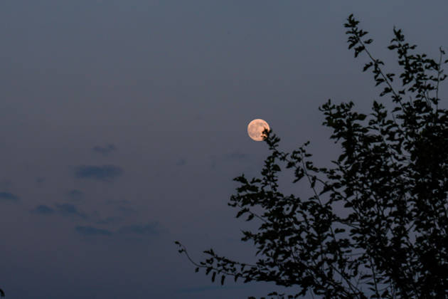 Nearly Full Moon Rises Over Kathmandu KATHMANDU, NEPAL October 25, 2026: The nearly full moon is seen in the night sky over Kathmandu, Nepal. ahead of the full moon on October 26. The bright moon illuminates the night sky, offering a striking celestial view over the Nepalese capital. (Photo by ap tolang Nexpher Images) kathmandu bagmati