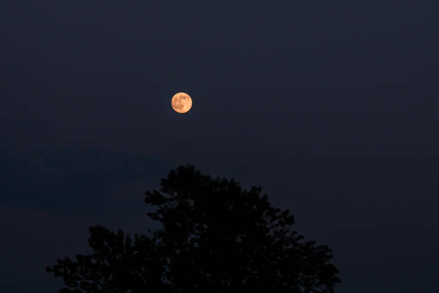 Nearly Full Moon Rises Over Kathmandu KATHMANDU, NEPAL October 25, 2026: The nearly full moon is seen in the night sky over Kathmandu, Nepal. ahead of the full moon on October 26. The bright moon illuminates the night sky, offering a striking celestial view over the Nepalese capital. (Photo by ap tolang Nexpher Images) kathmandu bagmati