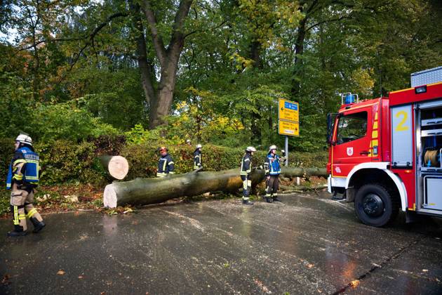 Fallen Tree in Schwerte: 80-Centimeter-Thick Tree Crashes Into Moving Car – Passengers Narrowly Escape Disaster 7aIMG 0578229 Fallen Tree in Schwerte: 80-Centimeter-Thick Tree Crashes Into Moving Car – Passengers narrowly escape disaster North Rhine-Westphalia, Schwerte, Germany Copyright: 7aktuell.dex xMarcxGruber 0578229 20261025_7a_vuschwertebaum_578229
