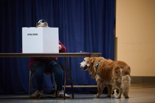 October 26, 2026, Toronto, On, Canada: A voter s dog waits alongside them as they vote in Toronto s municipal election at a polling station in Toronto, on Monday, Oct. 26, 2026. Toronto Canada  - ZUMAc35_ 20261026_zaf_c35_066 Copyright: xSammyxKoganx