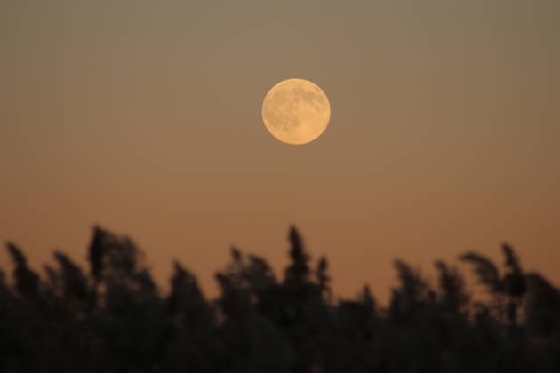 October s full Hunter s Moon in New Jersey SECAUCUS, NEW JERSEY, UNITED STATES - OCTOBER 26: The full moon, known as the Hunter s Moon for the month of October, is seen at Hackensack River in Secaucus, New Jersey, United States on October 26, 2026. Islam Dogru Anadolu New York United States. Editorial use only. Please get in touch for any other usage.  Copyright: x2026xAnadoluxIslamxDogrux