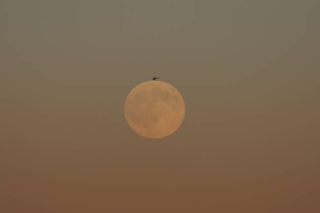 October s full Hunter s Moon in New Jersey SECAUCUS, NEW JERSEY, UNITED STATES - OCTOBER 26: The full moon, known as the Hunter s Moon for the month of October, is seen at Hackensack River in Secaucus, New Jersey, United States on October 26, 2026. Islam Dogru Anadolu New York United States. Editorial use only. Please get in touch for any other usage.  Copyright: x2026xAnadoluxIslamxDogrux