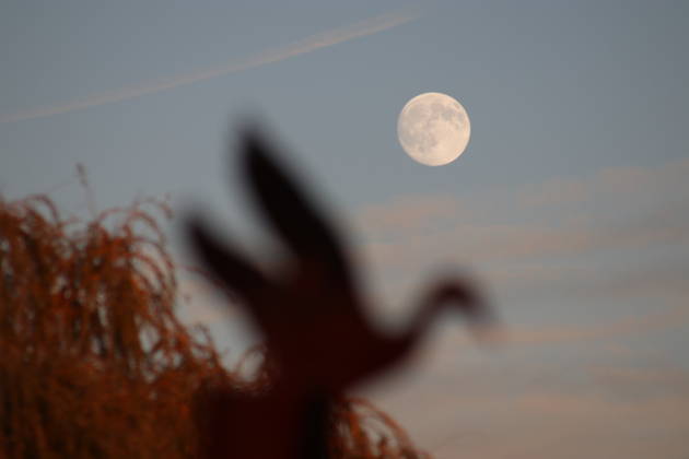 October s full Hunter s Moon in New Jersey SECAUCUS, NEW JERSEY, UNITED STATES - OCTOBER 26: The full moon, known as the Hunter s Moon for the month of October, is seen at Hackensack River in Secaucus, New Jersey, United States on October 26, 2026. Islam Dogru Anadolu New York United States. Editorial use only. Please get in touch for any other usage.  Copyright: x2026xAnadoluxIslamxDogrux