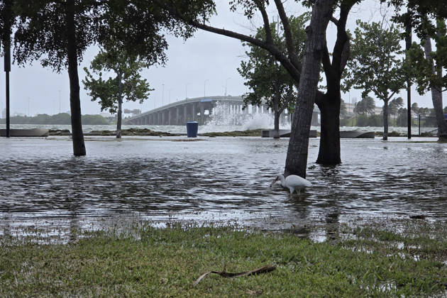 Photograph showing a flooded area near Jose Milton Park, on 26 October 2026 in downtown Miami, Florida, USA issued 27 October 2026. The National Weather Service (NWS) issued a coastal flood alert for southeastern Florida—in effect until Wednesday—due to high tides (spring tides) affecting the region, which have inundated parts of Miami and Fort Lauderdale. King tides inundate areas of Miami and trigger flood alerts in Florida !ACHTUNG: NUR REDAKTIONELLE NUTZUNG!  Copyright: xAlbertoxBoalx USA4583 20261027-55021808068_1