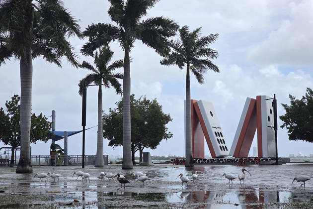 Photograph showing the flooded area near the iconic giant domino piece sculpture located in Jose Milton Park, on 26 October 2026 in downtown Miami, Florida, USA issued 27 October 2026. The National Weather Service (NWS) issued a coastal flood alert for southeastern Florida—in effect until Wednesday—due to high tides (spring tides) affecting the region, which have inundated parts of Miami and Fort Lauderdale. King tides inundate areas of Miami and trigger flood alerts in Florida !ACHTUNG: NUR REDAKTIONELLE NUTZUNG!  Copyright: xAlbertoxBoalx USA4576 20261027-55021808075_1