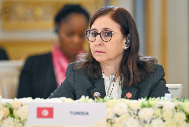 Russia–Africa Summit and Forum MOSCOW, RUSSIA - OCTOBER 29: (----EDITORIAL USE ONLY - MANDATORY CREDIT - YURI KOCHETKOV RUSSIA-AFRICA SUMMIT AND ECONOMIC AND HUMANITARIAN FORUM HOST PHOTO AGENCY HANDOUT - NO MARKETING NO ADVERTISING CAMPAIGNS - DISTRIBUTED AS A SERVICE TO CLIENTS----) Tunisia s Prime Minister attends the plenary session of the 3rd Russia-Africa Summit in Moscow, Russia, on October 29, 2026. Yuri Kochetkov Russia-Africa Summit and Economic and Humanitarian Forum Host Photo Agency Anadolu Moscow Russia. Editorial use only. Please get in touch for any other usage.  Copyright: x2026xAnadoluxYurixKochetkov Russia-AfricaxSummitxandxEconomicxandxHumanitarianxForumxHostxPhotoxAgencyx