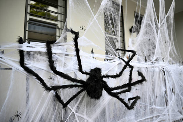 HALLOWEEN DISPLAYS, Halloween decorations are seen on homes in Sydney, Friday, October 30, 2026. ( NO ARCHIVING SYDNEY NEW SOUTH WALES Australia  Copyright: xBIANCAxDExMARCHIx 20261030191347680470