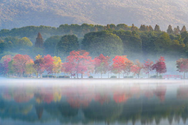 NANJING, CHINA - OCTOBER 31: Trees with colorful foliage and the quiet lake water form an autumn landscape under the morning mist at the Moon Crescent Dyke of Qianhu Lake in front of Nanjing Botanical Garden Memorial Sun Yat-Sen on October 31, 2026 in Nanjing, Jiangsu Province of China.  Copyright: xVCGx 111678300600