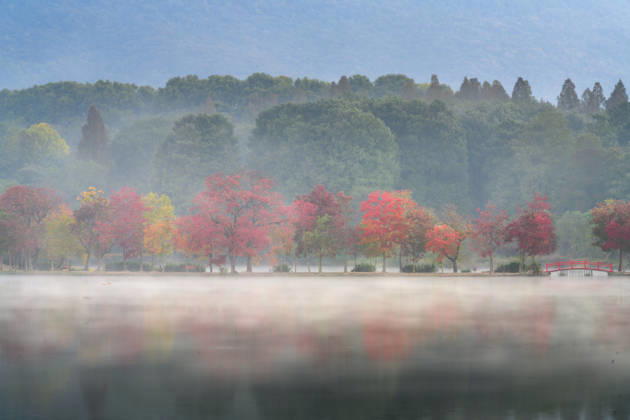 NANJING, CHINA - OCTOBER 31: Trees with interwoven colors and a quiet lake form an autumn landscape under morning mist at the Crescent Dyke in Front Lake of Nanjing Botanical Garden on October 31, 2026 in Nanjing, Jiangsu Province of China.  Copyright: xVCGx 111678300615