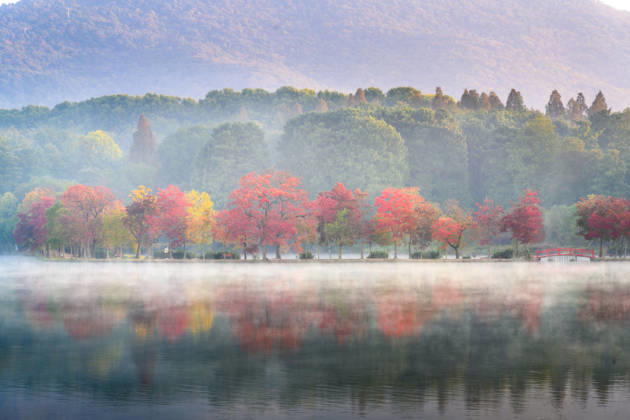 NANJING, CHINA - OCTOBER 31: Trees with colorful foliage and a quiet lake are shrouded in morning autumn mist at the Qianhu Moon Dyke of Nanjing Botanical Garden Memorial Sun Yat-Sen on October 31, 2026 in Nanjing, Jiangsu Province of China.  Copyright: xVCGx 111678300603