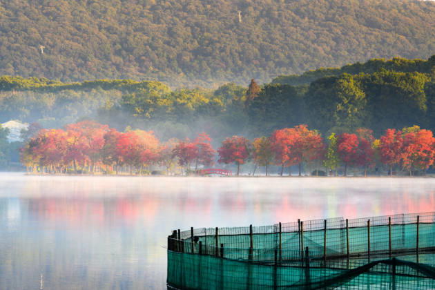 NANJING, CHINA - OCTOBER 31: Trees with colorful foliage and the quiet lake water form a scenic autumn view under the morning mist at the Moon Crescent Dyke of Qianhu Lake in front of the Botanical Garden on October 31, 2026 in Nanjing, Jiangsu Province of China.  Copyright: xVCGx 111678300605