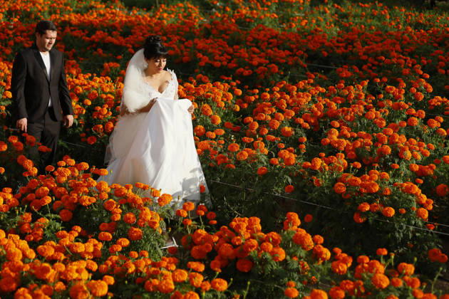 People visit marigold fields ahead of the Day of the Dead celebrations TLAJOMULCO, MEXICO - OCTOBER 30: A couple walk through a field of marigolds, known locally as cempasuchil, at a ranch in the municipality of Tlajomulco de Zuniga, Jalisco state, Mexico, Friday, October 30, 2026. The vibrant orange flower fields attract thousands of visitors each year ahead of the traditional Day of the Dead celebrations. Stringer Anadolu Tlajomulco Mexico. Editorial use only. Please get in touch for any other usage.  Copyright: x2026xAnadoluxStringerx