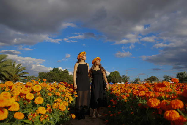 People visit marigold fields ahead of the Day of the Dead celebrations TLAJOMULCO, MEXICO - OCTOBER 30: Women dressed as Catrinas pose in a field of marigolds, known locally as cempasuchil, at a ranch in the municipality of Tlajomulco de Zuniga, Jalisco state, Mexico, Friday, October 30, 2026. The vibrant orange flower fields attract thousands of visitors each year ahead of the traditional Day of the Dead celebrations. Stringer Anadolu Tlajomulco Mexico. Editorial use only. Please get in touch for any other usage.  Copyright: x2026xAnadoluxStringerx