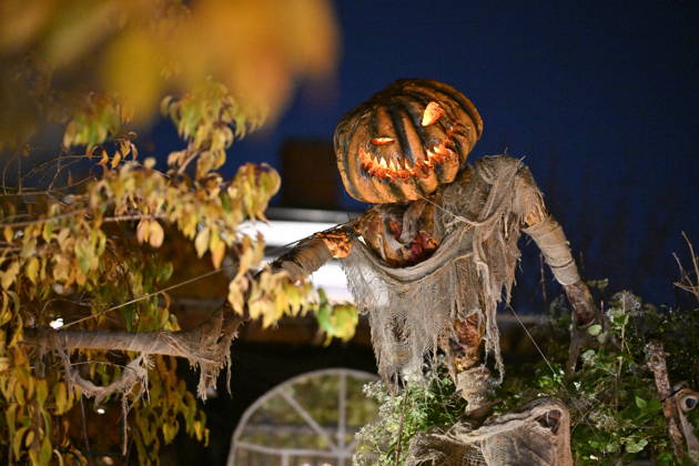 STOCKHOLM, SWEDEN 20261030 A family in Huddinge, south of Stockholm, has decorated their garden with tombstones, handmade zombies, and spooky decorations for Halloween STOCKHOLM SWEDEN x10040x  Copyright: xAndersxWiklund TTx HALLOWEEN SWEDEN c1DWhB3bonk