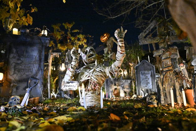 STOCKHOLM, SWEDEN 20261030 A family in Huddinge, south of Stockholm, has decorated their garden with tombstones, handmade zombies, and spooky decorations for Halloween STOCKHOLM SWEDEN x10040x  Copyright: xAndersxWiklund TTx HALLOWEEN SWEDEN RNQKmFxvraY
