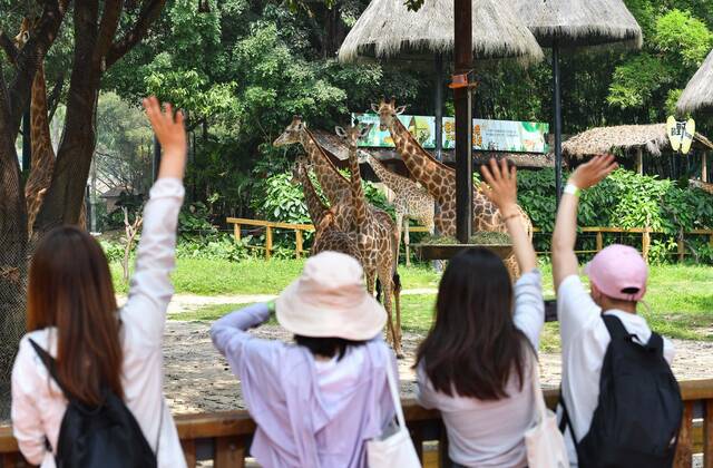 Coronavirus in China, Wiedereröffnung des Chimelong Safari Park in Guangzhou
