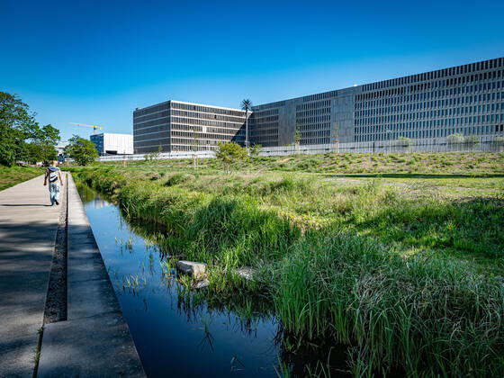 Berlin, River Panke to be renaturalised