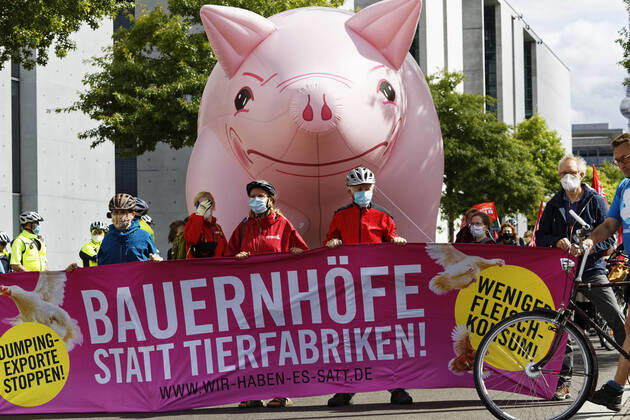 Berlin, animal rights activists demonstrate against cheap meat