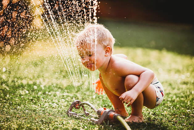 IMAGO Creative, Summer, summer days in the garden