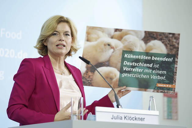 Berlin, Press conference with Julia Klöckner on the law against chicken killing