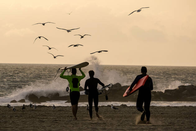 Coronavirus in den USA, Eindrücke vom Venice Beach, Los Angeles