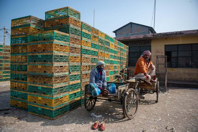 Coronavirus in Indien, Geschlossener Geflügelmarkt in Neu-Delhi