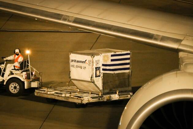 Coronavirus in Uruguay, Ankunft von Pfizer-Impfstoff in Montevideo