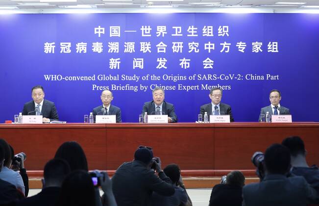 Coronavirus, WHO-Team untersucht mögliche Ursprünge des Virus in Wuhan, Pressekonferenz