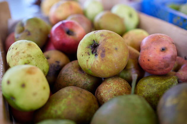 IMAGO Creative, New Year, Good resolutions, Throw away less food